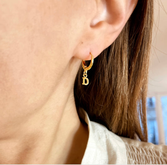 Bollini earrings